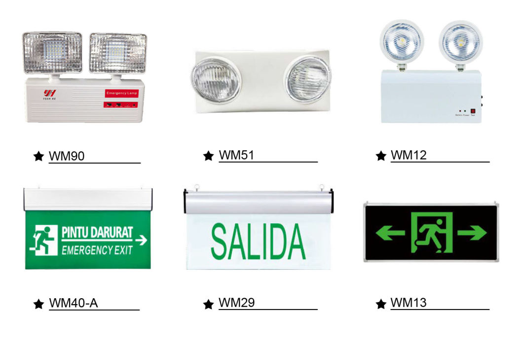 Popular LED Emergency Exit Sign Light