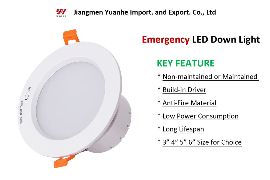 Emergency LED Downlight