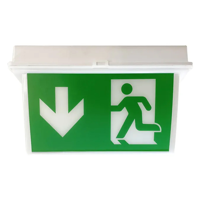 LED IP65 Water-Proof Emergency Safety Rechargeable Battery Exit Lamp