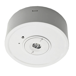 LED Rechargeable Emergency Ceiling Light