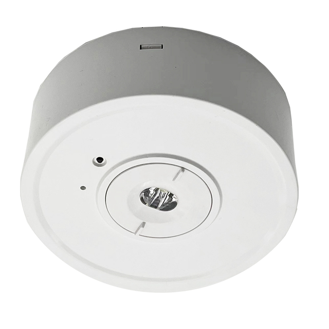 LED Rechargeable Emergency Ceiling Light
