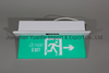 Ceiling Mounted LED Emergency Exit Light